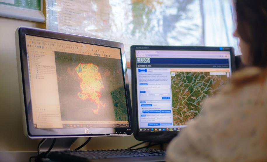 Pesquisas apontam como clima e queimadas afetam a biodiversidade no Paraná