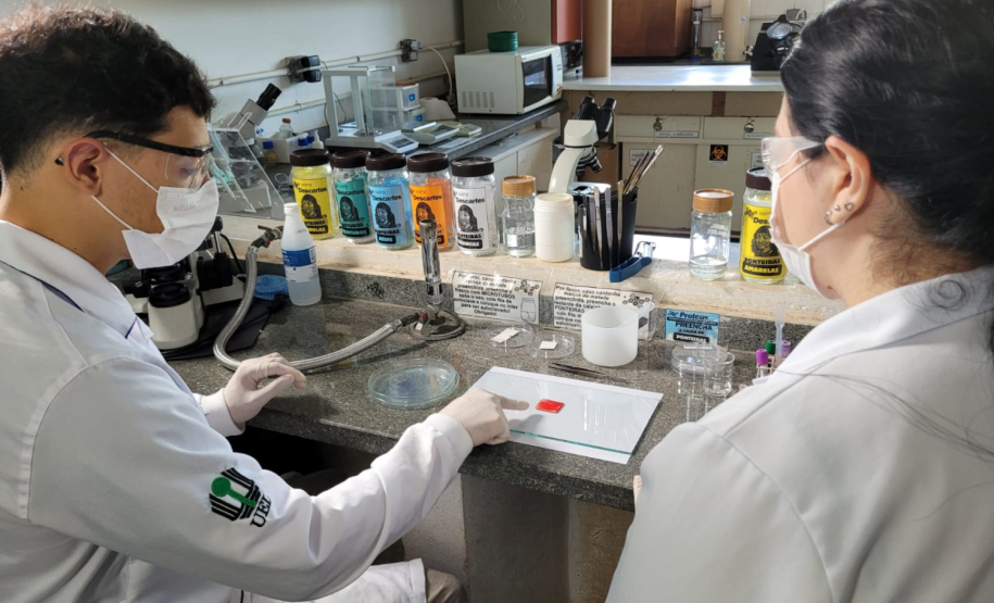 Governo seleciona empresas para comercializar soluções desenvolvidas no Paraná