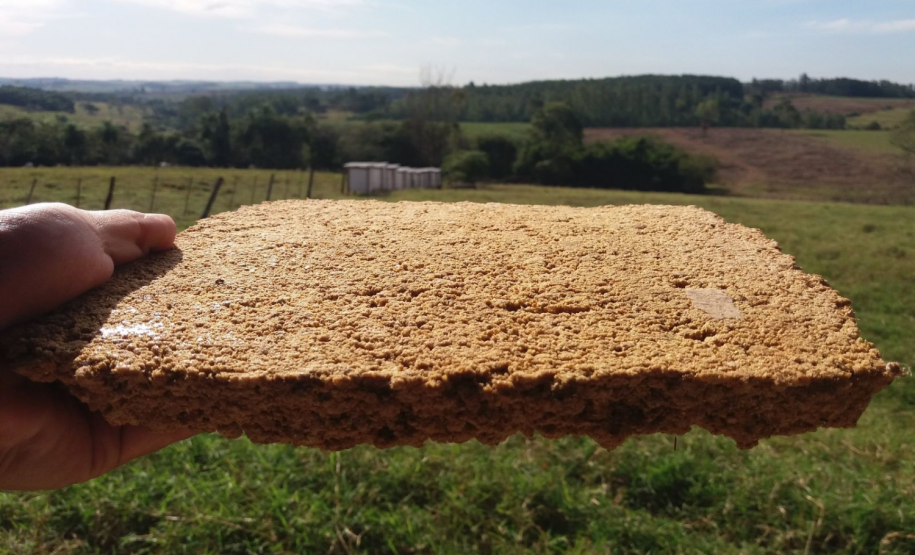 Governo seleciona empresas para comercializar soluções desenvolvidas no Paraná