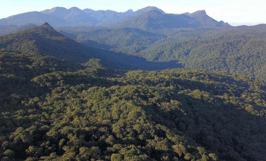 Com apoio do Estado, oito soluções para a Mata Atlântica receberão R$ 2,9 milhões