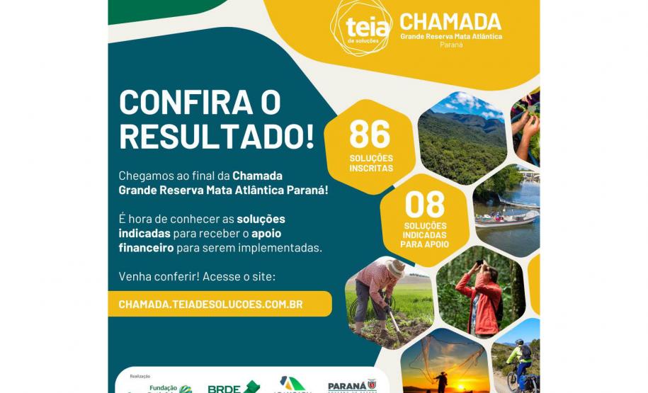 Com apoio do Estado, oito soluções para a Mata Atlântica receberão R$ 2,9 milhões