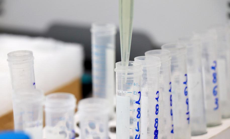 Com ensaios especializados, Tecpar identifica níveis de agrotóxicos em alimentos