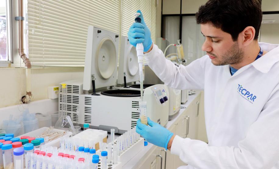 Com ensaios especializados, Tecpar identifica níveis de agrotóxicos em alimentos