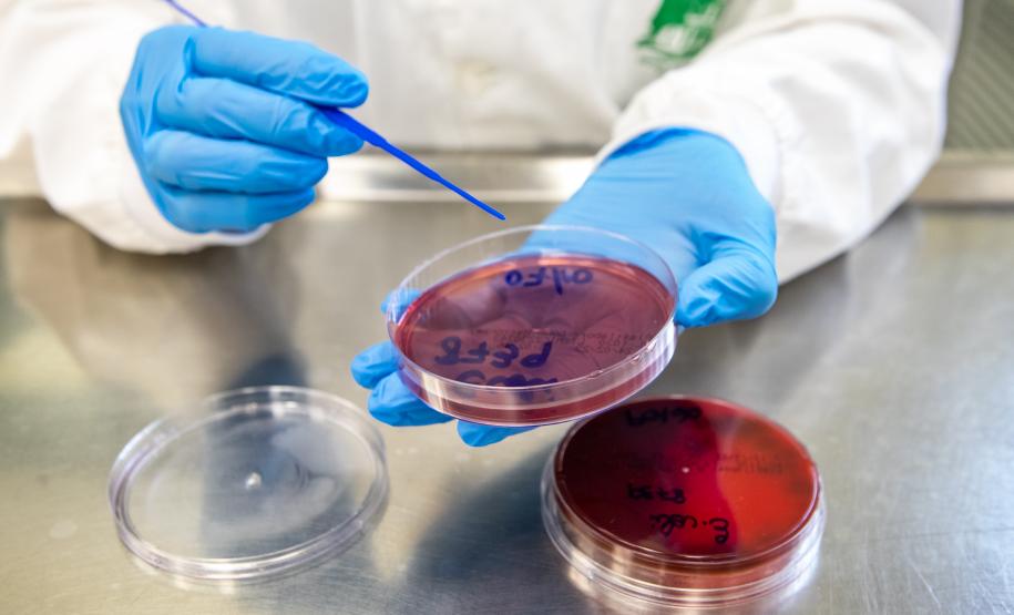 Prestes a superar marca de 2023, Lacen ultrapassa meio milhão de exames em 2024