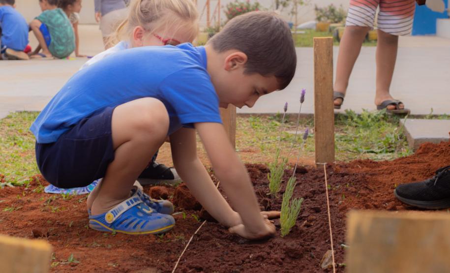 Estado divulga projetos classificados para a 2ª etapa do Universidade Sem Fronteiras