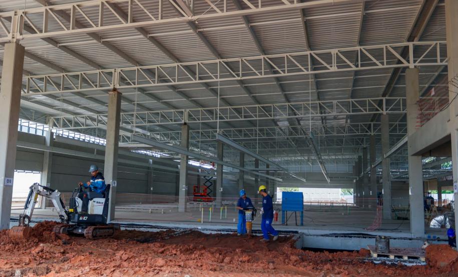 Maior biofábrica do mundo de mosquitos Wolbitos de combate à dengue será em Curitiba