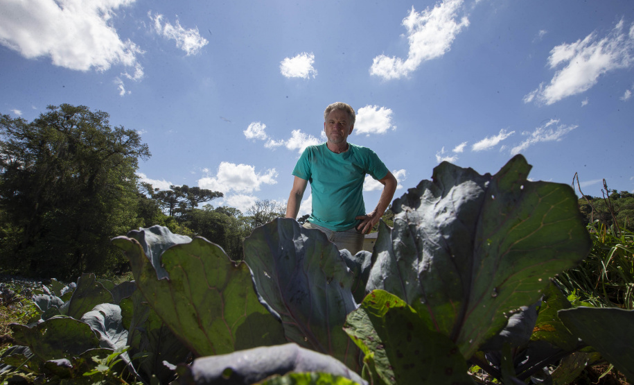 SÃO JOSÉ DOS PINHAIS (BRASIL), 25/10/2024; O produtor de orgânicos Luiz Claudio Ravaglio da Rocha que é certificado pelo TECPAR, Paraná, Brasil.