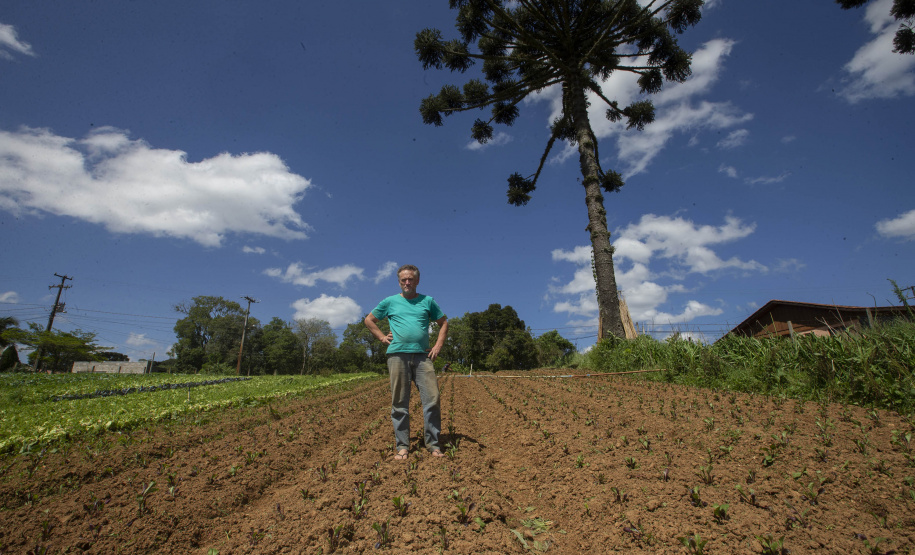 SÃO JOSÉ DOS PINHAIS (BRASIL), 25/10/2024; O produtor de orgânicos Luiz Claudio Ravaglio da Rocha que é certificado pelo TECPAR, Paraná, Brasil.
