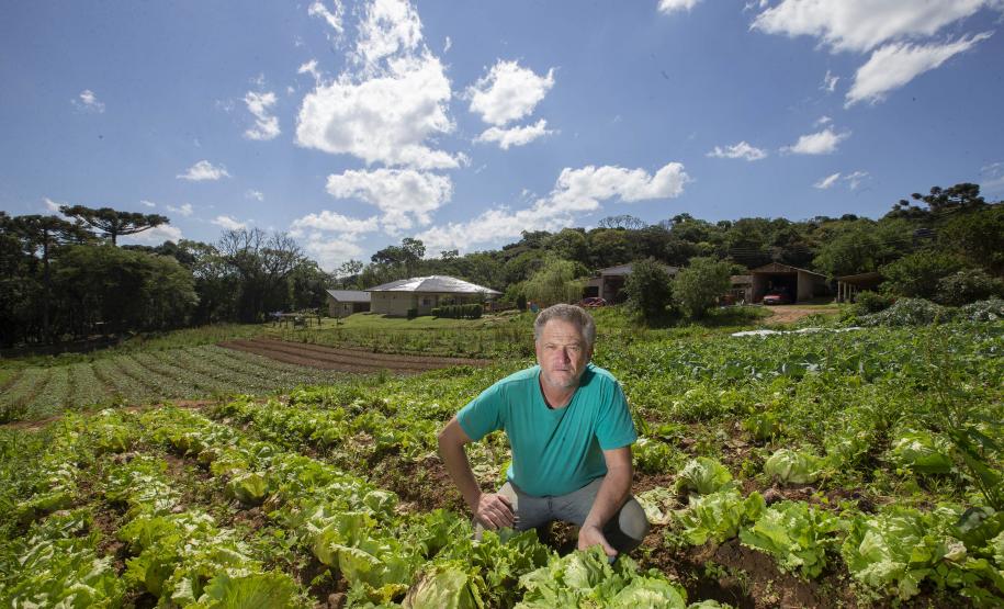SÃO JOSÉ DOS PINHAIS (BRASIL), 25/10/2024; O produtor de orgânicos Luiz Claudio Ravaglio da Rocha que é certificado pelo TECPAR, Paraná, Brasil.