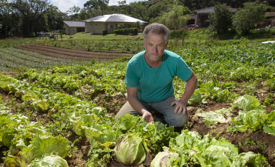 SÃO JOSÉ DOS PINHAIS (BRASIL), 25/10/2024; O produtor de orgânicos Luiz Claudio Ravaglio da Rocha que é certificado pelo TECPAR, Paraná, Brasil.