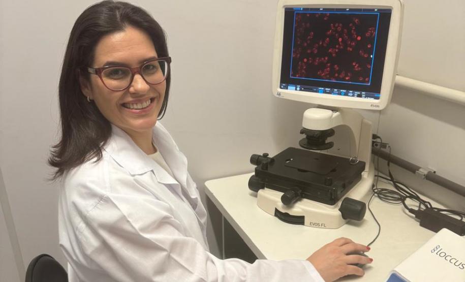 Pesquisadores estudam uso de composto na própolis para tratamento de câncer de mama