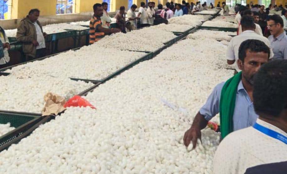 Paraná conhece experiência da Índia para impulsionar cadeia da sericicultura