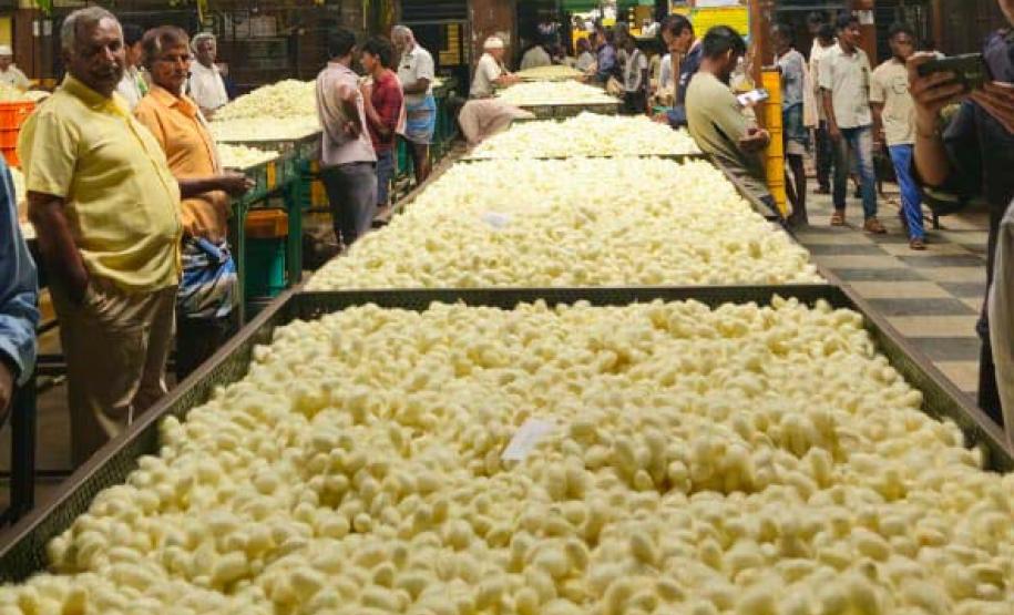 Paraná conhece experiência da Índia para impulsionar cadeia da sericicultura