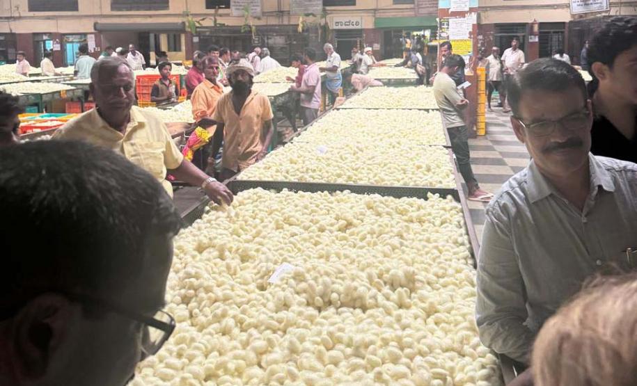 Paraná conhece experiência da Índia para impulsionar cadeia da sericicultura