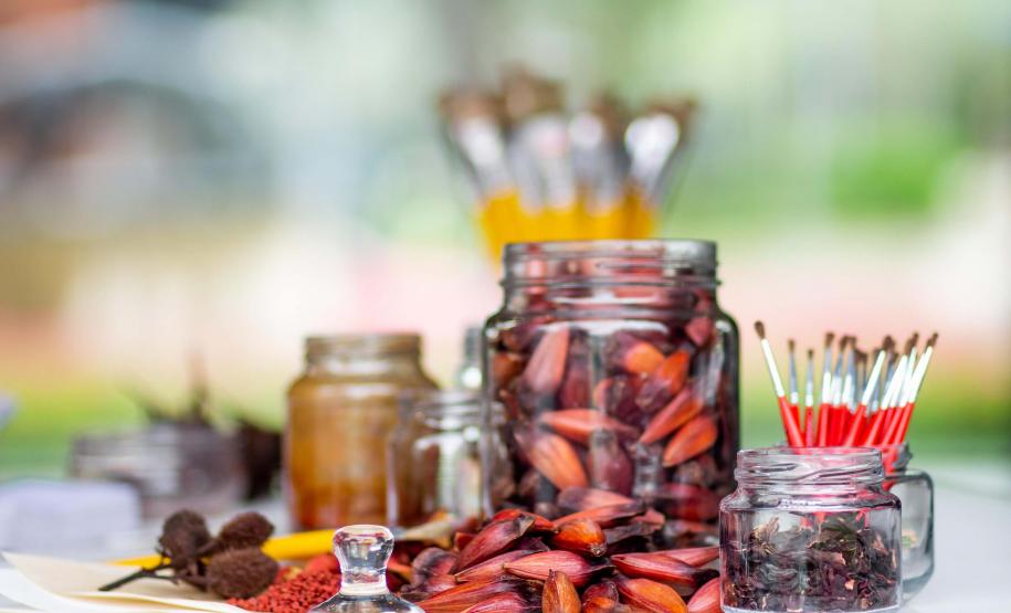 MAC-PR promove oficina sobre criação de pigmentos naturais com plantas nativas