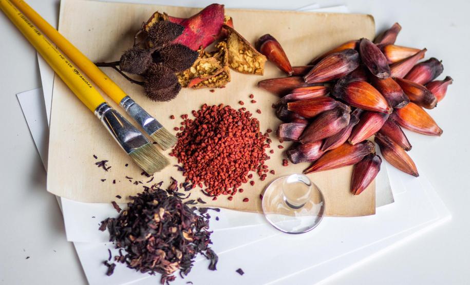 MAC-PR promove oficina sobre criação de pigmentos naturais com plantas nativas