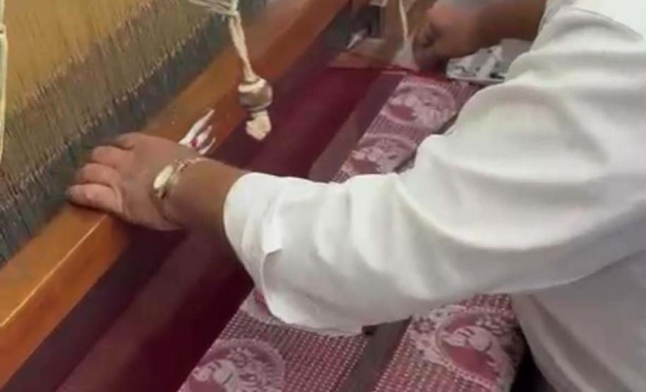 Paraná firma parceria com associação indiana para desenvolvimento da sericultura