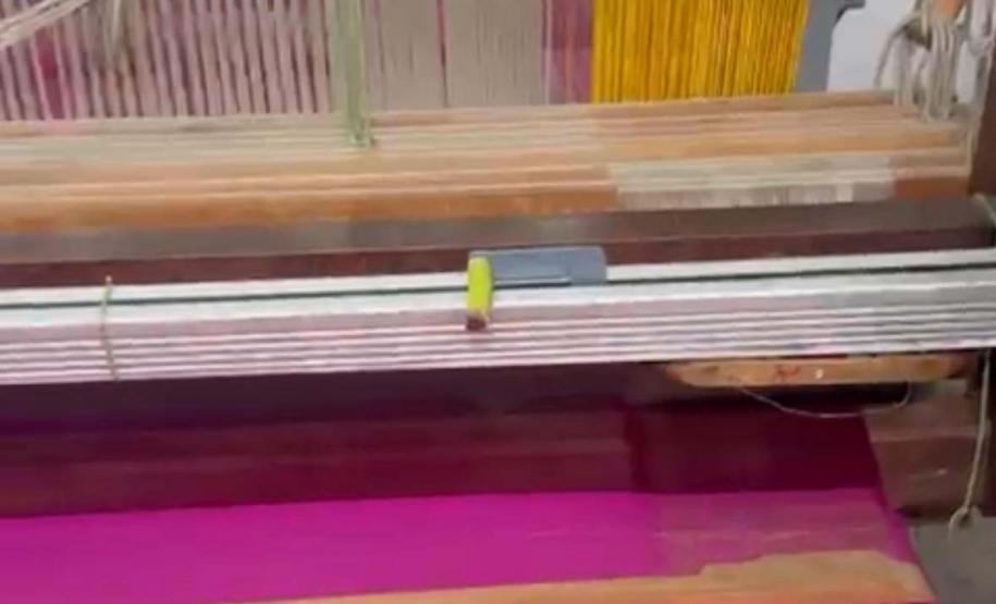 Paraná firma parceria com associação indiana para desenvolvimento da sericultura