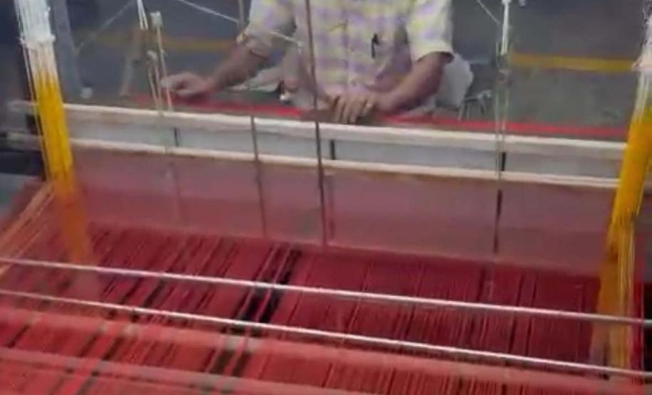 Paraná firma parceria com associação indiana para desenvolvimento da sericultura