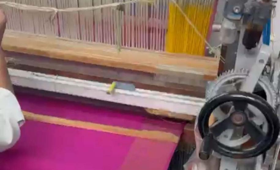 Paraná firma parceria com associação indiana para desenvolvimento da sericultura