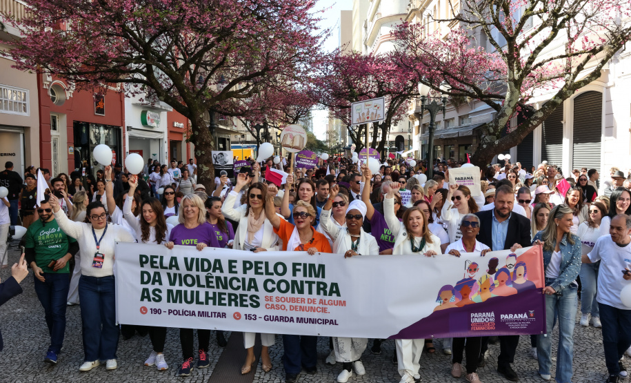Investimentos e parcerias: Estado consolida prioridade à defesa dos direitos das mulheres