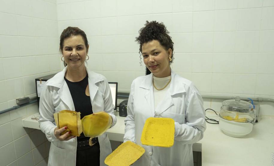 Pesquisadora da UEM transforma macaúba em embalagens biodegradáveis