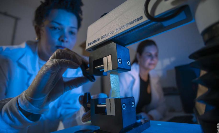 Pesquisadora da UEM transforma macaúba em embalagens biodegradáveis