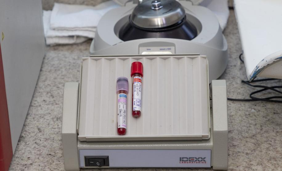 Pioneiro: Tecpar conclui projeto-piloto de acreditação de estabelecimentos veterinários