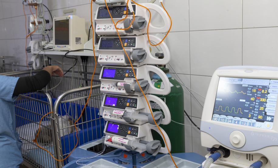 Pioneiro: Tecpar conclui projeto-piloto de acreditação de estabelecimentos veterinários