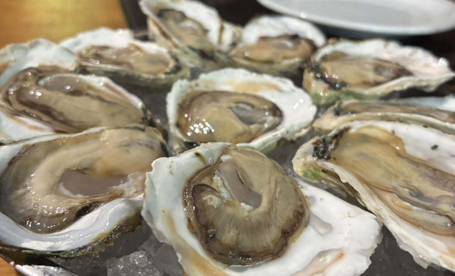 Governo do Estado investe R$ 6,6 milhões em projetos para impulsionar economia do Litoral