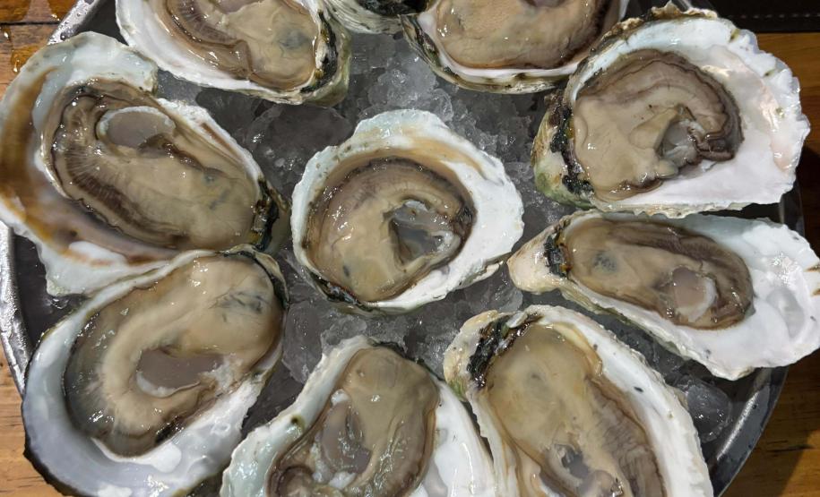 Governo do Paraná e UFPR firmam parceria para fomentar a produção de ostras no Litoral