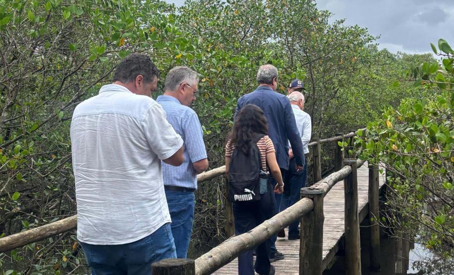 Governo do Paraná e UFPR firmam parceria para fomentar a produção de ostras no Litoral