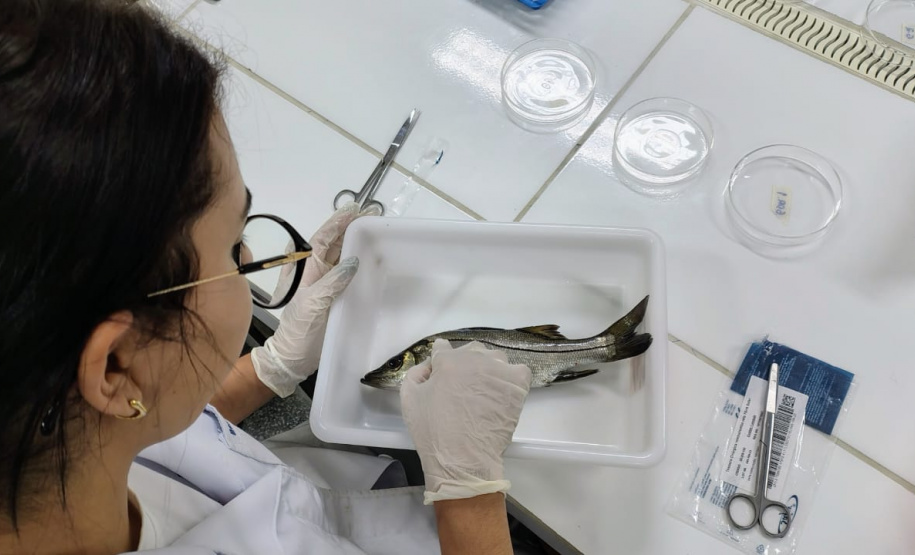 Governo do Estado investe R$ 6,6 milhões em projetos para impulsionar economia do Litoral