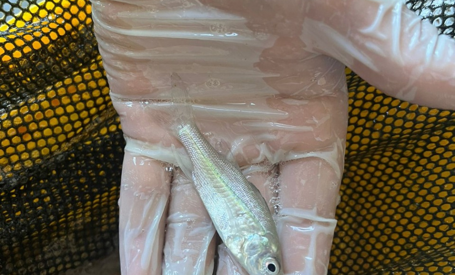 Governo do Estado investe R$ 6,6 milhões em projetos para impulsionar economia do Litoral