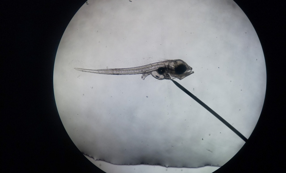 Governo do Estado investe R$ 6,6 milhões em projetos para impulsionar economia do Litoral