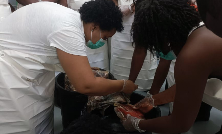 Projeto paranaense de produção de couro de peixe será implantado em Cabo Verde