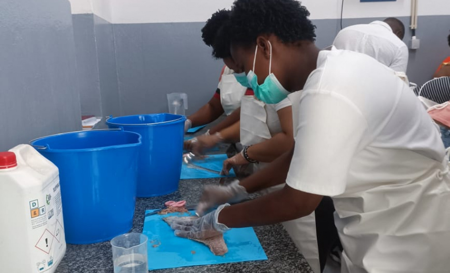 Projeto paranaense de produção de couro de peixe será implantado em Cabo Verde