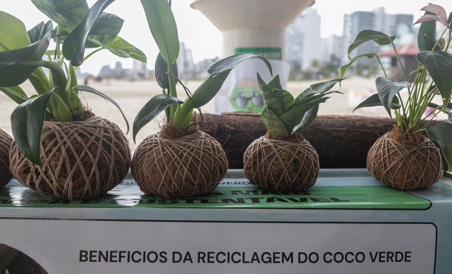 Veranistas aprendem a fazer vaso de plantas com fibra de coco em oficina no Verão Maior