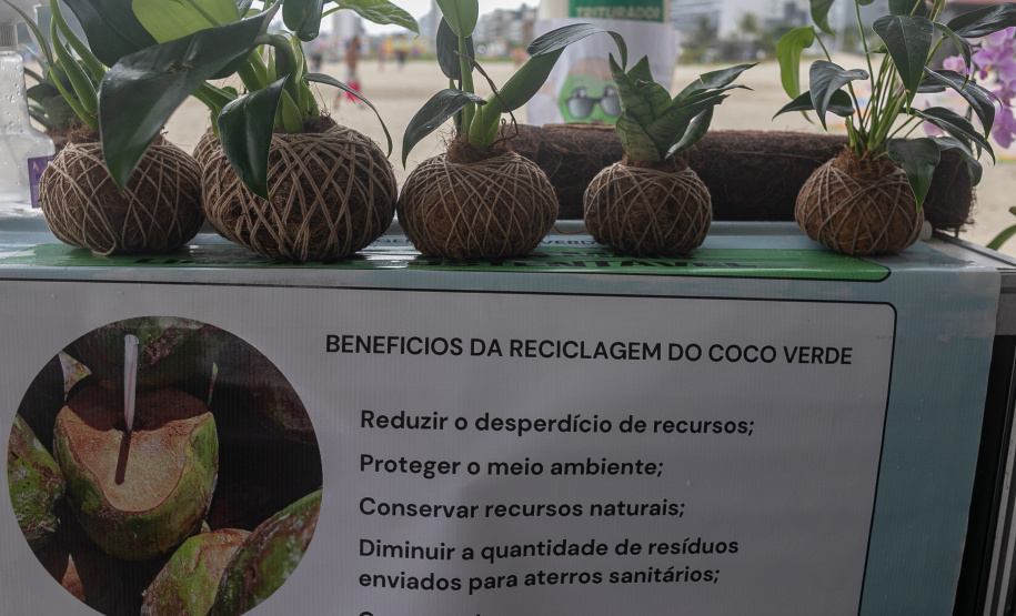 Veranistas aprendem a fazer vaso de plantas com fibra de coco em oficina no Verão Maior