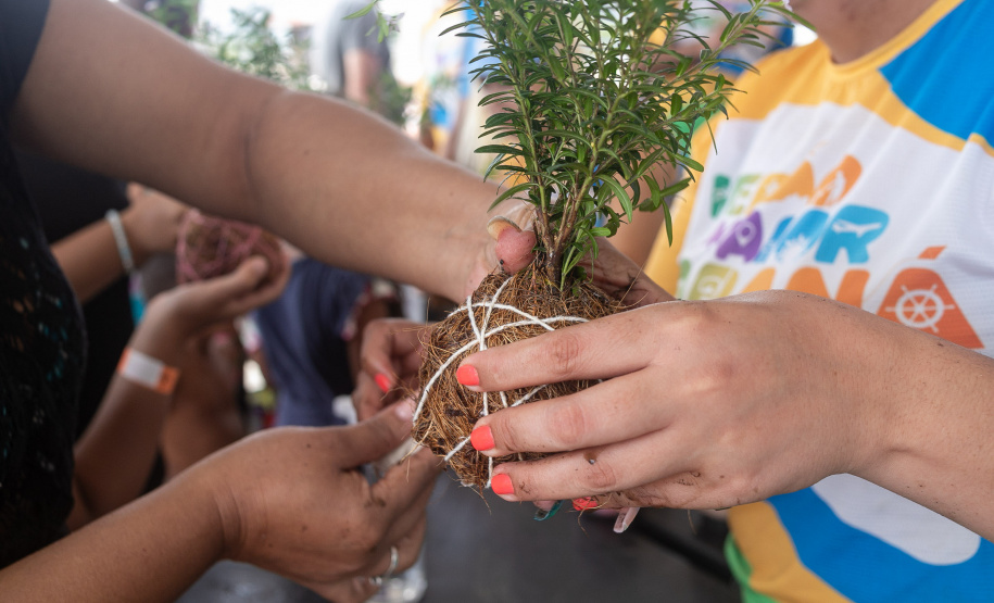 Veranistas aprendem a fazer vaso de plantas com fibra de coco em oficina no Verão Maior