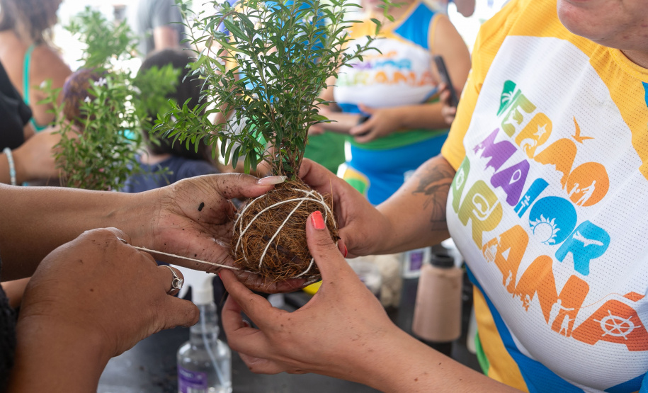 Veranistas aprendem a fazer vaso de plantas com fibra de coco em oficina no Verão Maior
