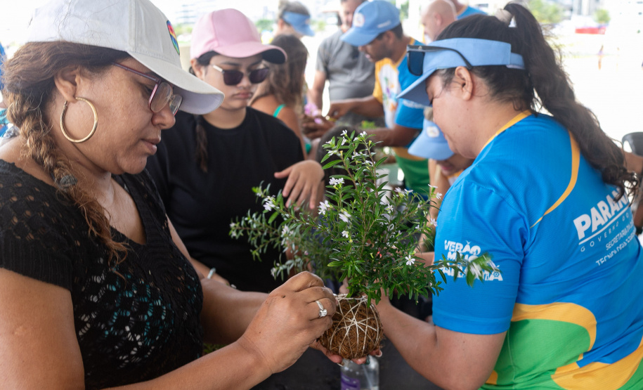 Veranistas aprendem a fazer vaso de plantas com fibra de coco em oficina no Verão Maior