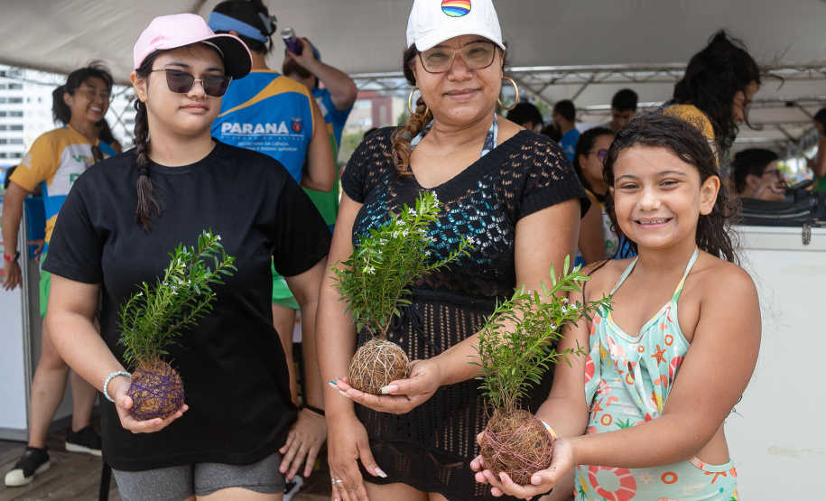 Veranistas aprendem a fazer vaso de plantas com fibra de coco em oficina no Verão Maior