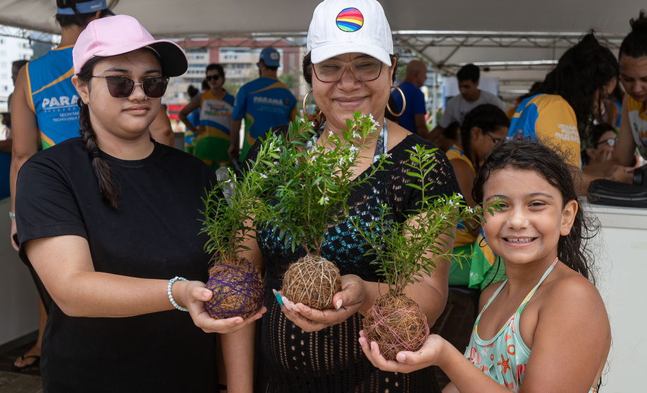 Veranistas aprendem a fazer vaso de plantas com fibra de coco em oficina no Verão Maior