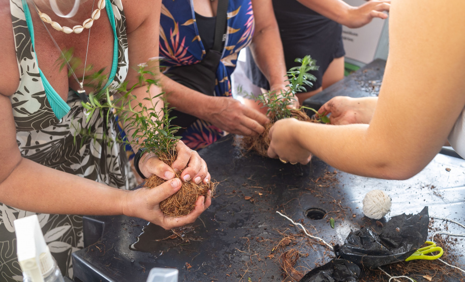 Veranistas aprendem a fazer vaso de plantas com fibra de coco em oficina no Verão Maior
