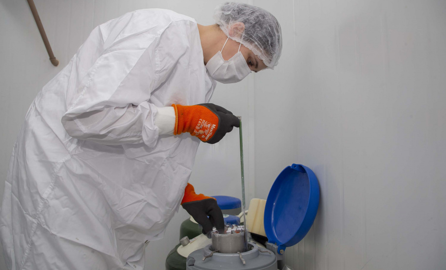 Investimentos, inovação e parcerias fortalecem presença do Tecpar em sanidade animal