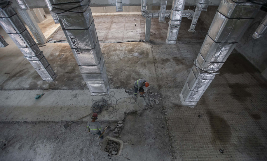 Investimentos, inovação e parcerias fortalecem presença do Tecpar em sanidade animal