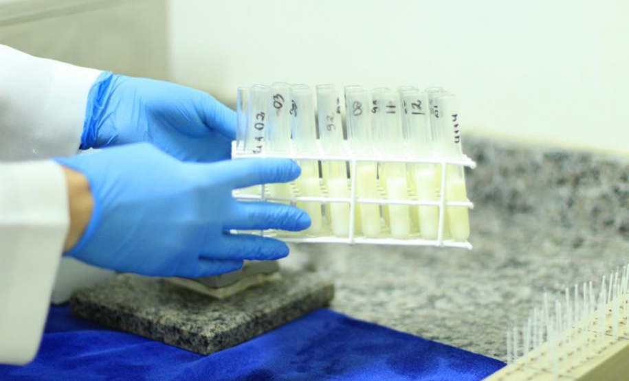 Alta de 77%: bancos de leite dos HUs atenderam milhares de mães e bebês em 2024