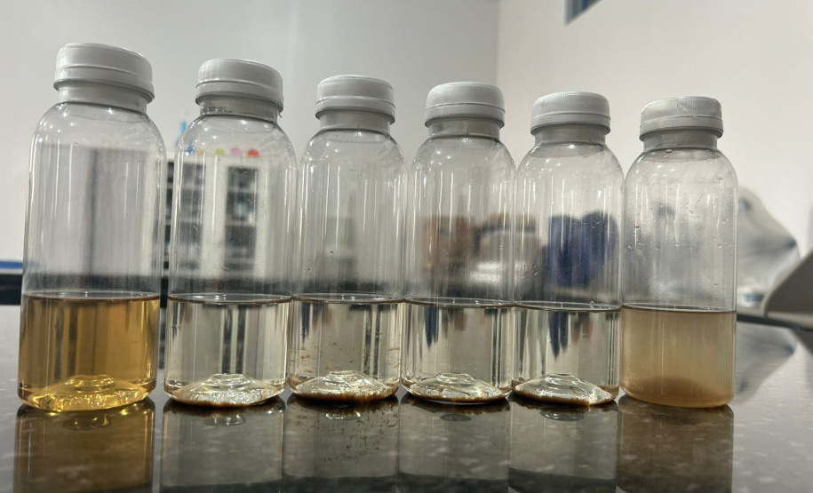 Pesquisa da Unioeste estuda como transformar cabelo humano em adubo