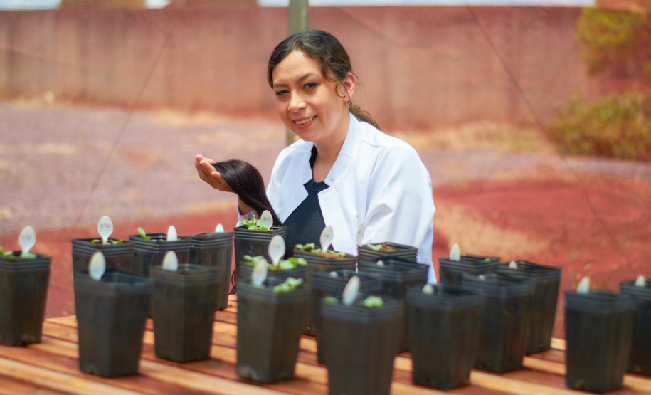 Pesquisa da Unioeste estuda como transformar cabelo humano em adubo